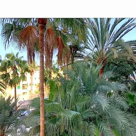 Maspalomas Del Mar *